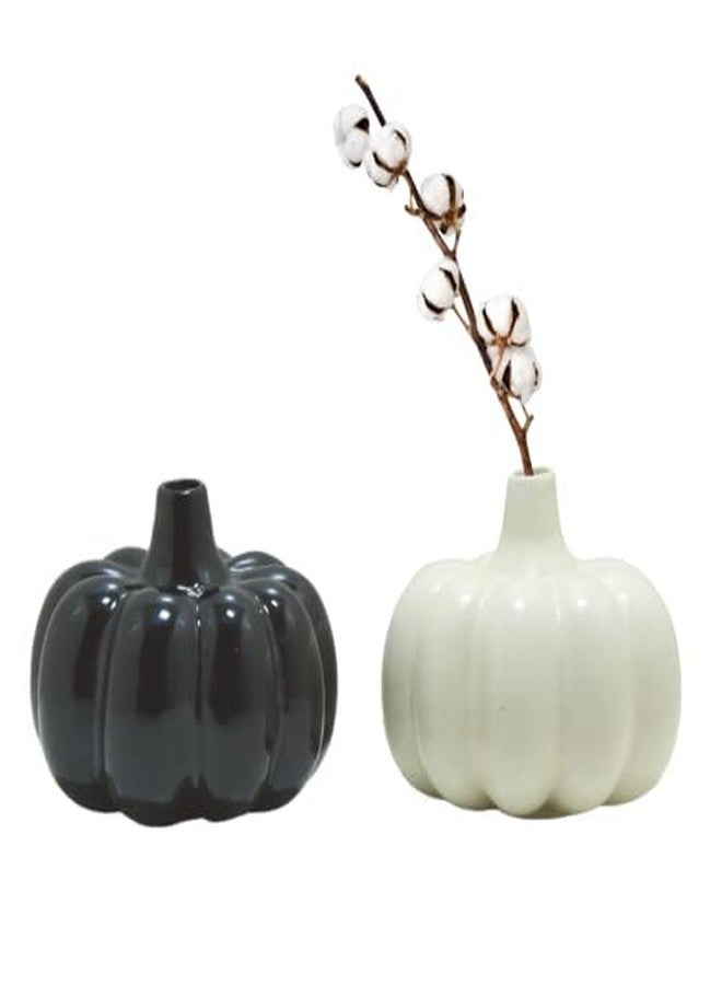 Mirakii Ceramic Black and White Small Pumpkin Vase of 10cm Set of 2, Decorate with Twigs, Small Flowers, Artificial Grass or Dried Cotton Branch, Filler Not Included (Black & White Set) - Image 1